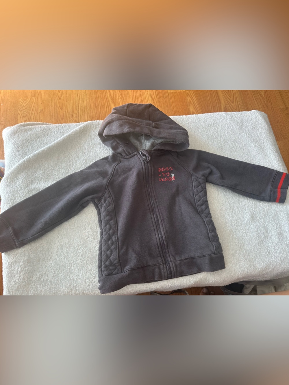 Girls' Hooded Zip Sweatshirt in Gray with Red Stripe Detail